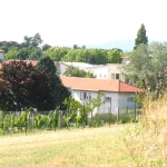 Fête de la Science à la Ferme du Vinatier